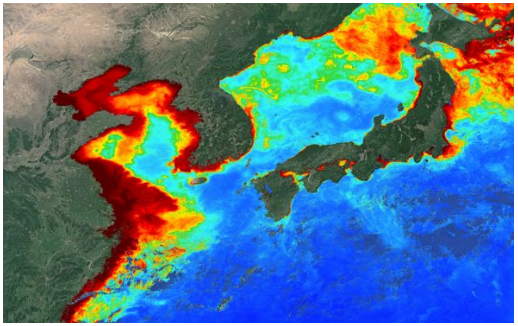Map projection of chlorophyll-a concentration over the South China Sea