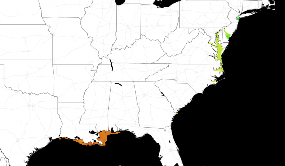 Map projection of Vibrio suitability index over the Gulf of Mexico Coast and the Chesapeake Bay