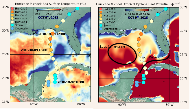 Regional map projection of Sea surface temperature and tropical cyclone potential over the Gulf of Mexico prior to Hurricane Michael's landfall