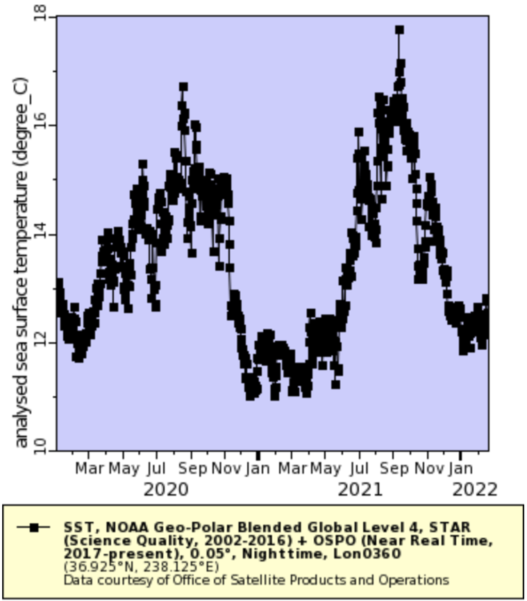 Time series plot of sea surface temperature over the period of 2020 through 2022