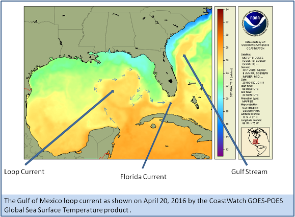 Infographic map projection of sea surface temperature showing the Gulf of Mexico Loop Current