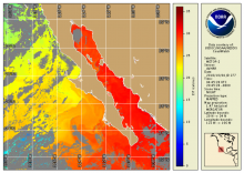Map projection over Baja California display sea surface temperature data