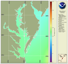 Map projection of annual sea surface temperature over the Chesapeake Bay