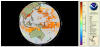 Global map projection of sea surface temperature data